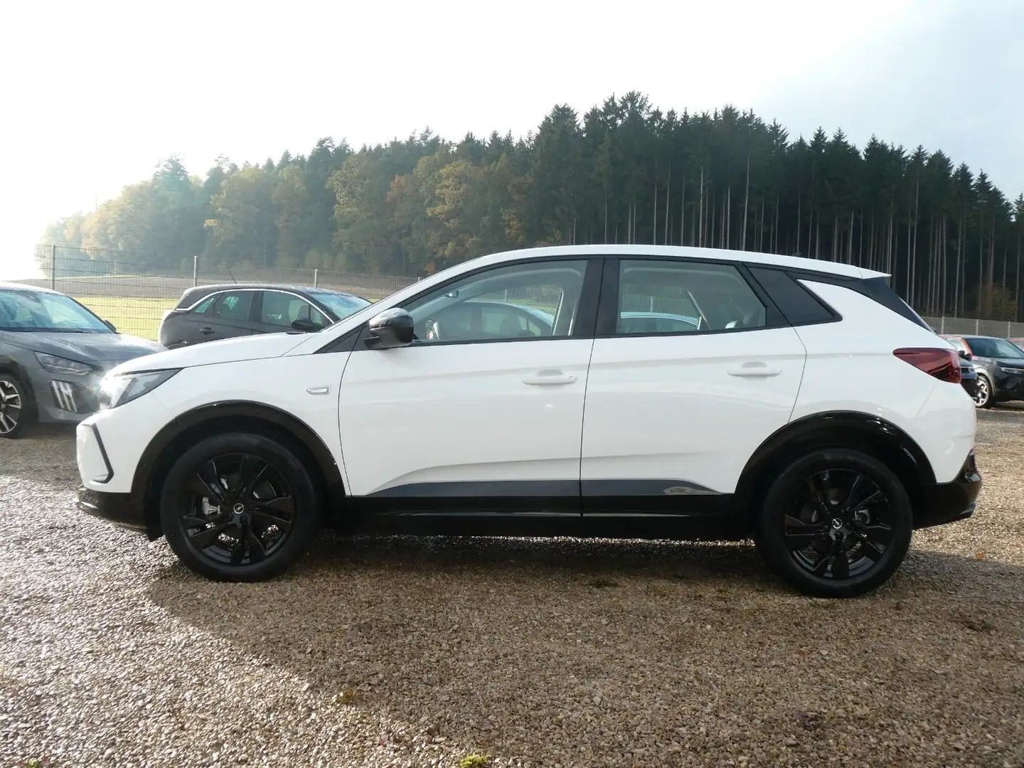 Opel Grandland X Grandland GS*145MHEV*eDCT*NaviPro*Pixel_LED Weiß - 2