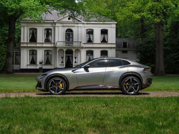 6.5 V12 | Sanu Silver | Full Carbon | Alcantara in