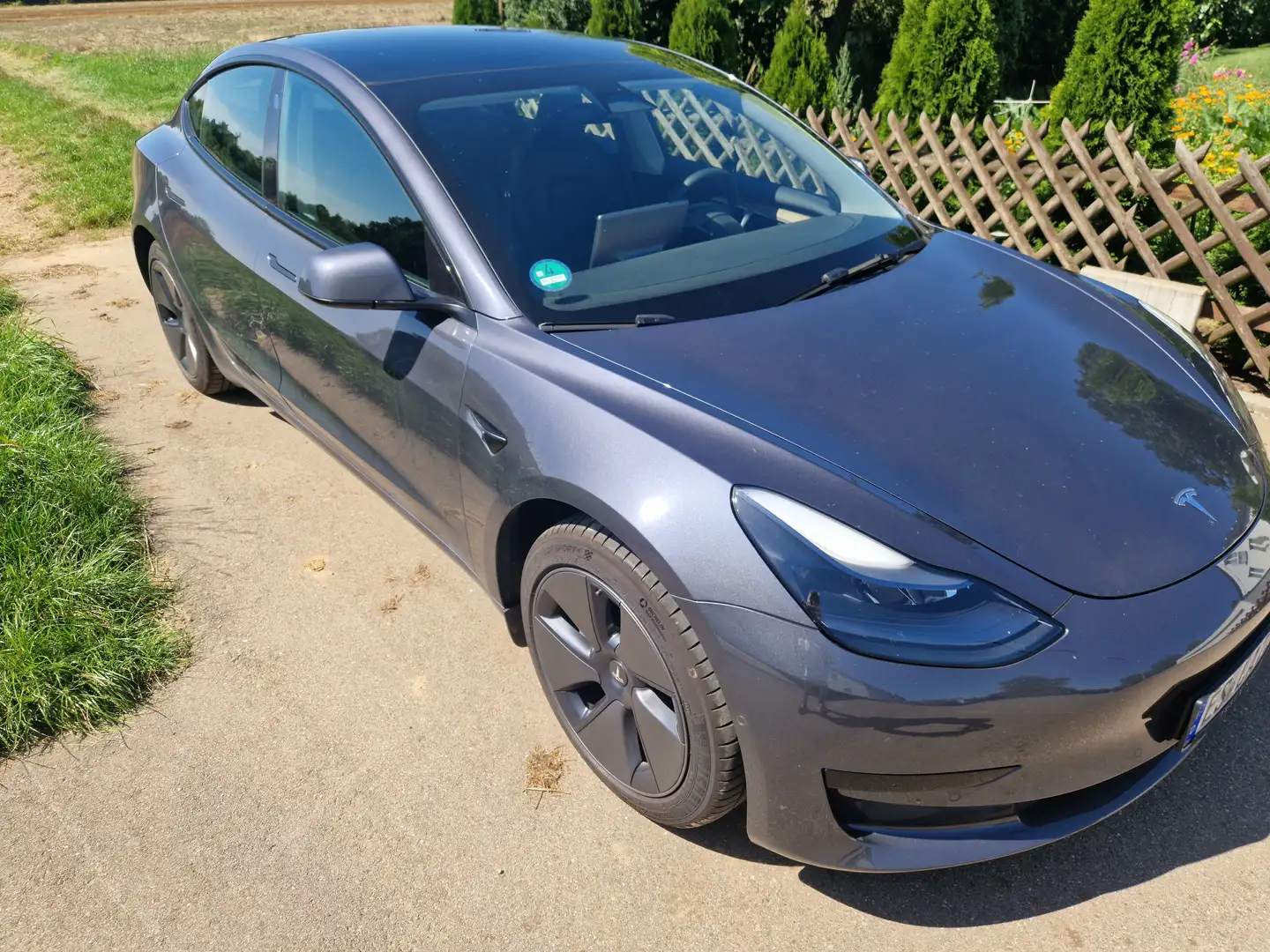 Tesla Model 3 Silber - 1