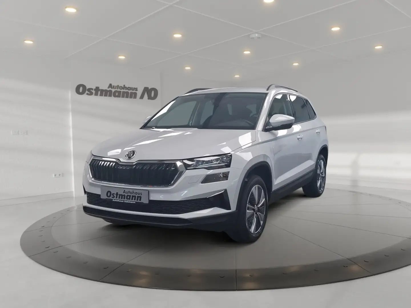 Skoda Karoq 1.5 TSI ACT Selection AHK Climatr. SHZ Navi Weiß - 1