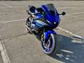 Yamaha YZF-R7 Blu/Azzurro - thumbnail 9