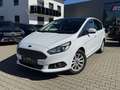 Ford S-Max 2.0 TDCi Allrad Titanium AHK Panoramadach - thumbnail 28