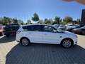 Ford S-Max 2.0 TDCi Allrad Titanium AHK Panoramadach - thumbnail 20