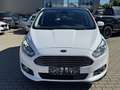 Ford S-Max 2.0 TDCi Allrad Titanium AHK Panoramadach - thumbnail 26