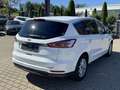 Ford S-Max 2.0 TDCi Allrad Titanium AHK Panoramadach - thumbnail 19