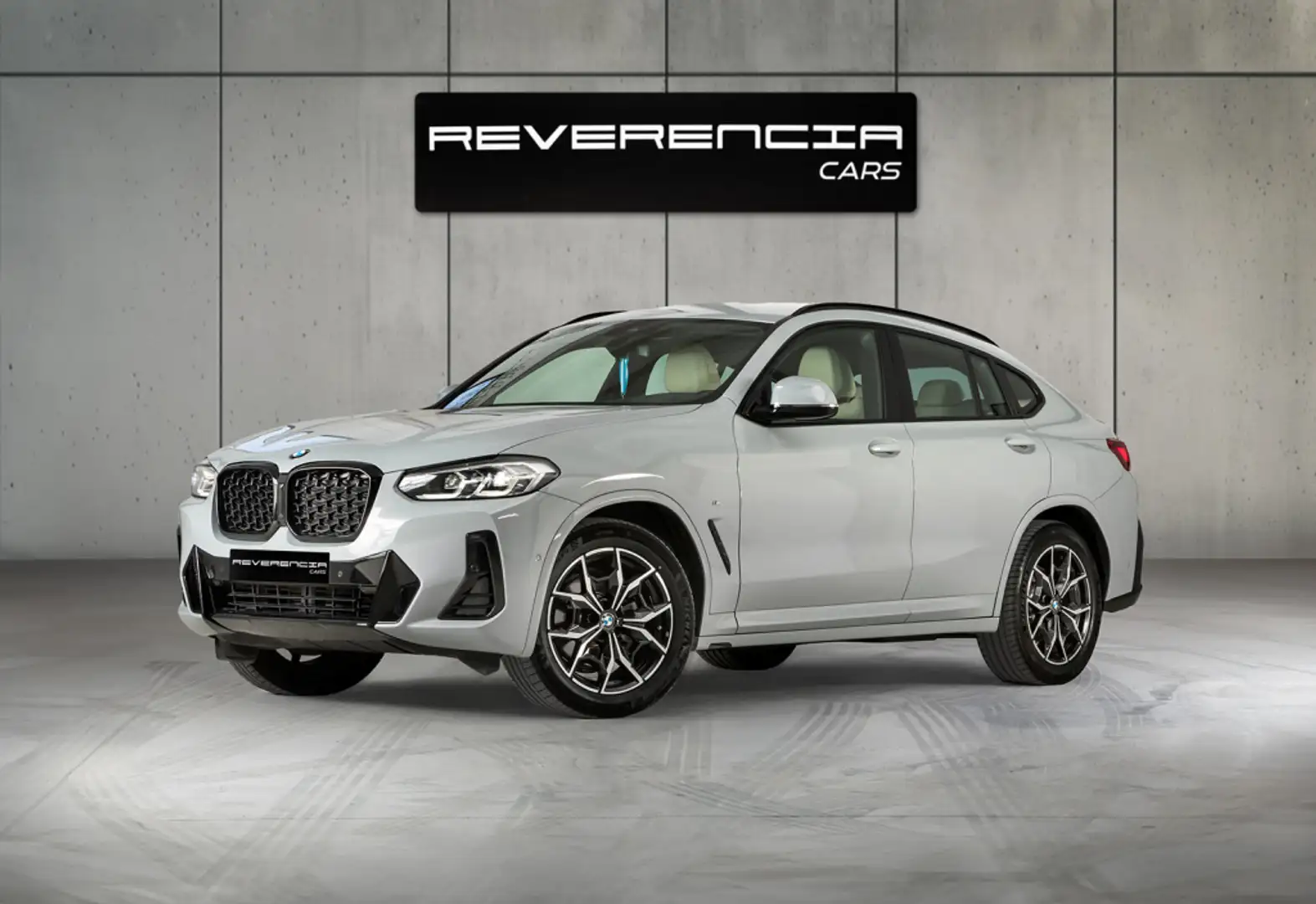 BMW X4 xDrive 20dA xLine M Sport Gris - 1