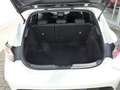 Toyota Corolla Hybrid Team D TechPaket SHZ IPA Kamera Bianco - thumbnail 10