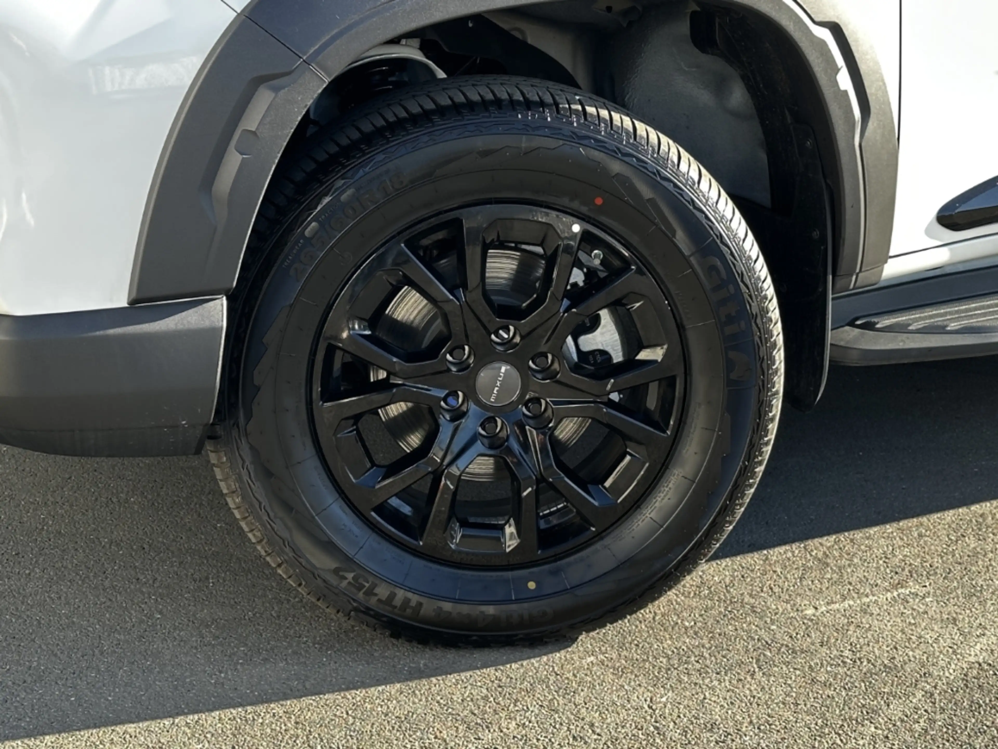 Maxus T60 2.0 TDCi 4WD Luxury LED 360 PDC Shz Leder 18Alu — photo 6
