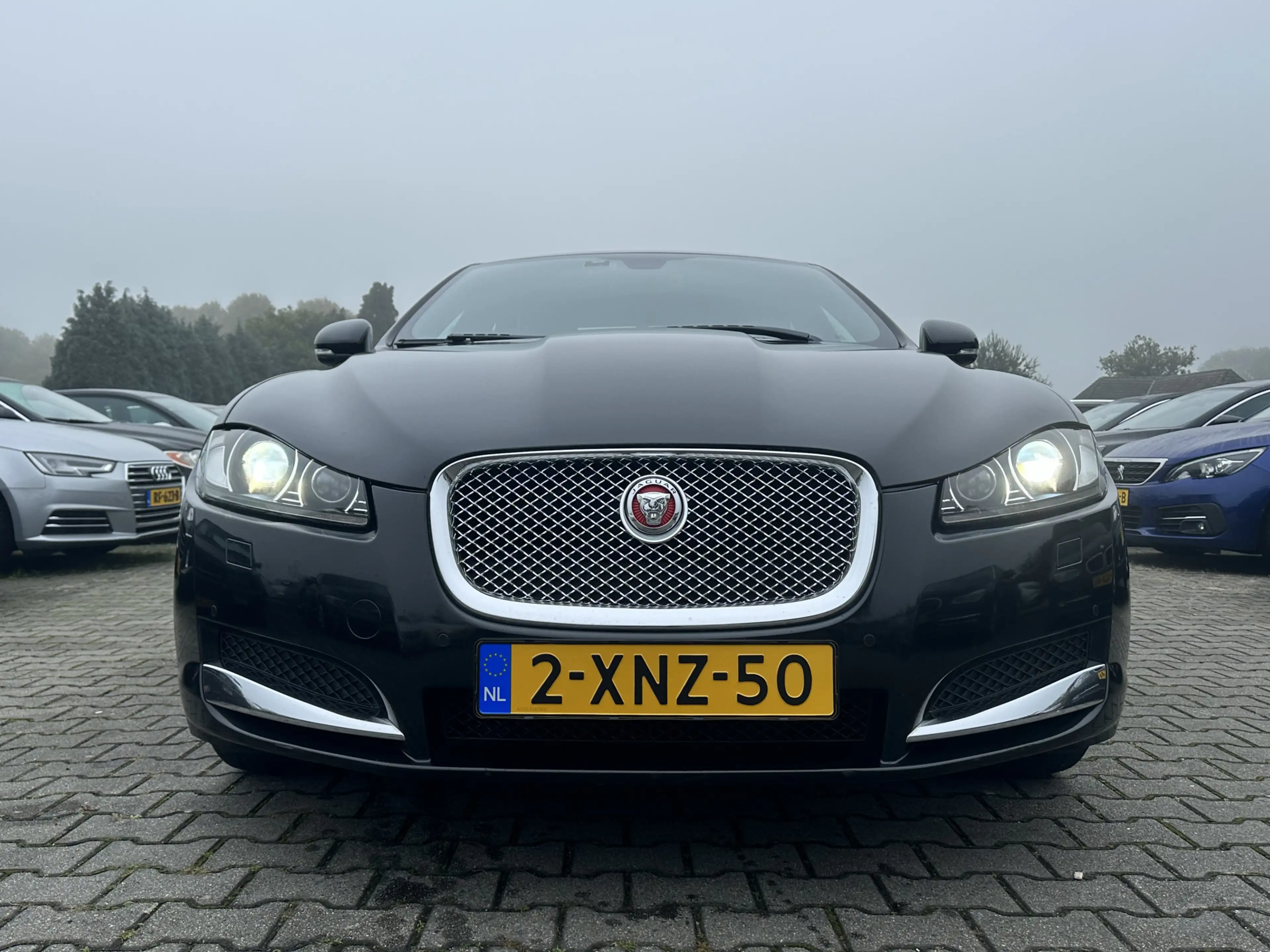 Jaguar XF 2.2D Aut. *LEATHER  | BI-XENON | NAVI-FULLMAP | CA — photo 2