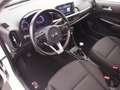 Kia Picanto 1.0 CVVT First Edition CRUISE CONTROL / CLIMA / CA Alb - thumbnail 7