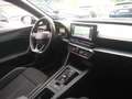 CUPRA Formentor 1.5 TSI DSG 150 cv Grigio - thumbnail 12
