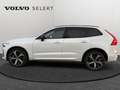 Volvo XC60 B4 Ultimate Dark / Diesel Blanc - thumbnail 4