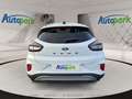 Ford Puma Titanium Weiß - thumbnail 9