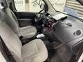 Renault Kangoo Kangoo Maxi Blue dCi *B2B € 6.500 NETTO* Blanco - thumbnail 6