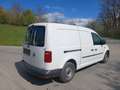 Volkswagen Caddy Maxi Kastenwagen Entry 2,0 TDI Weiß - thumbnail 4