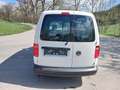 Volkswagen Caddy Maxi Kastenwagen Entry 2,0 TDI Weiß - thumbnail 6