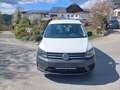 Volkswagen Caddy Maxi Kastenwagen Entry 2,0 TDI Weiß - thumbnail 5