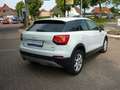 Audi Q2 design 1,6 TDI+Navi+ACC+Sitzh.+el. Heckklappe Weiß - thumbnail 5