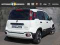 Fiat Panda Pandina 1.0 GSE Hybrid Cross Weiß - thumbnail 2