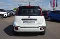 Fiat Panda Pandina 1.0 GSE Hybrid Cross Weiß - thumbnail 7