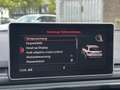 Audi A4 allroad quattro 3.0 TDI tiptronic   Panorama Blanc - thumbnail 18