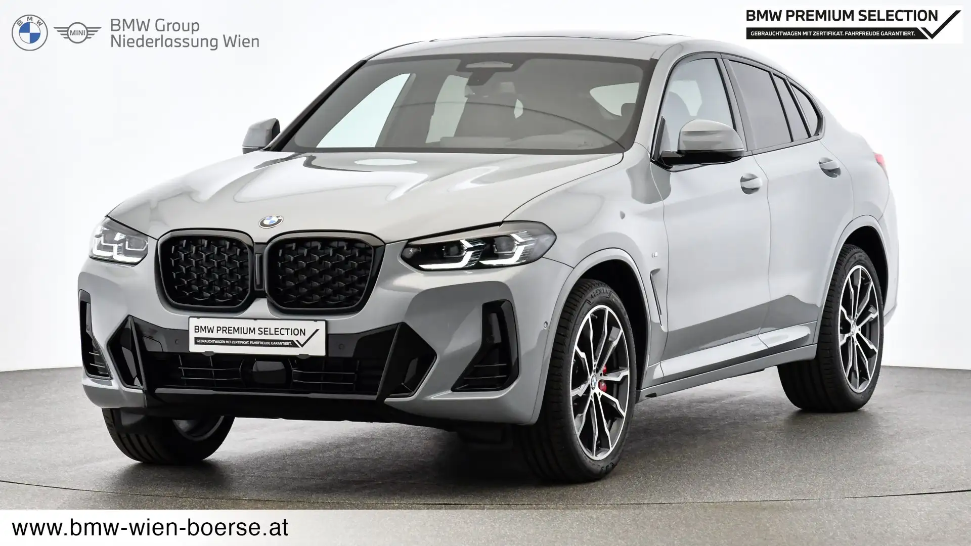 BMW X4 X4 xDrive30d Серый - 1