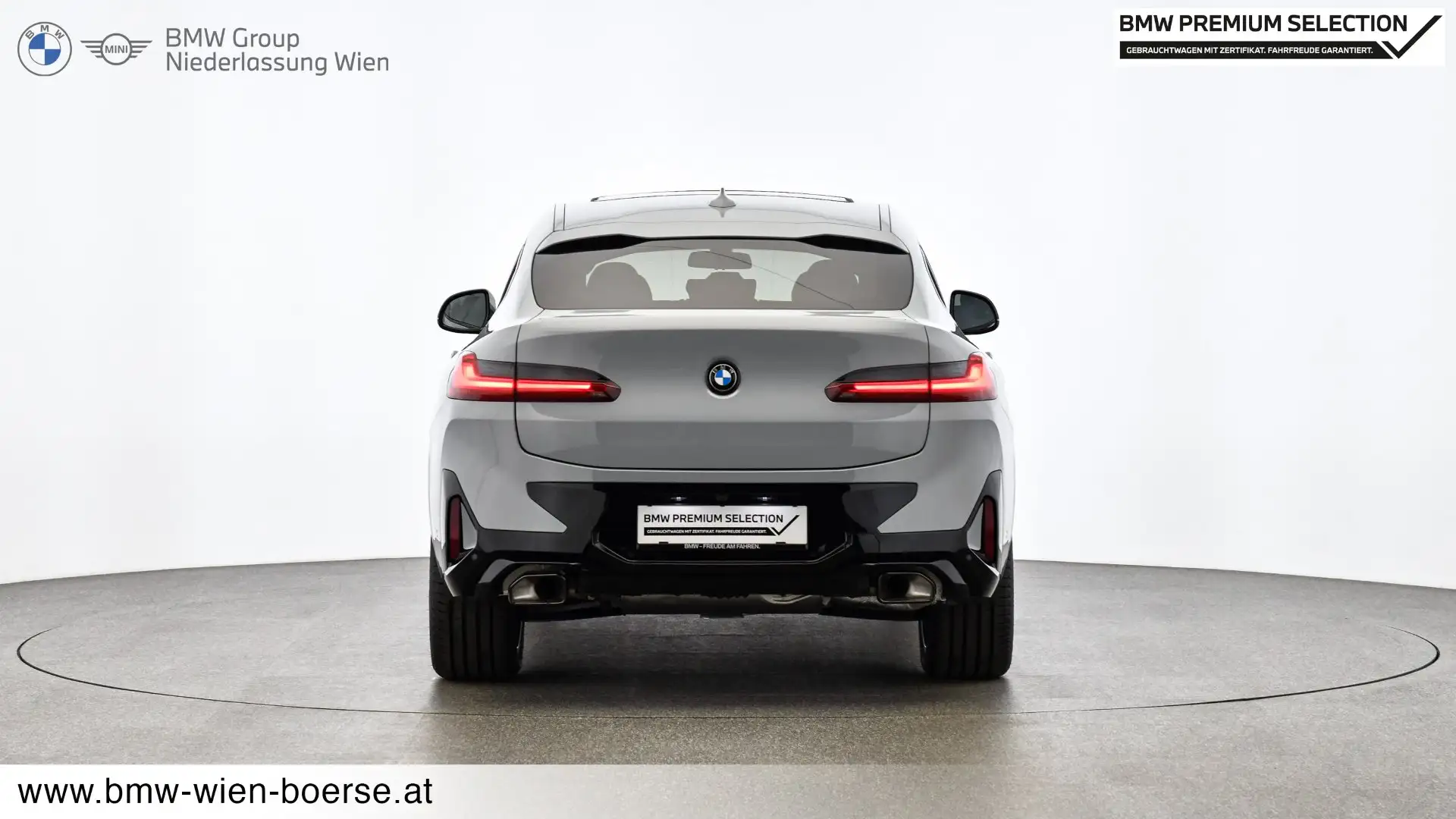 BMW X4 xDrive30d Grau - 2