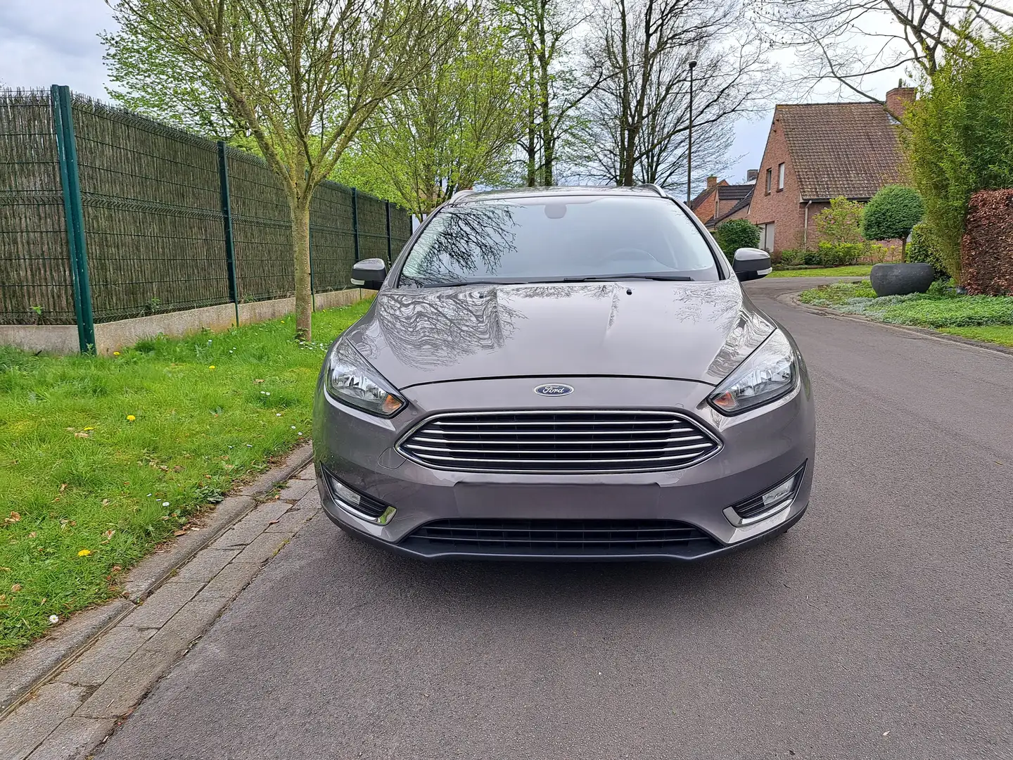 Ford Focus Focus Titanium Brun - 1