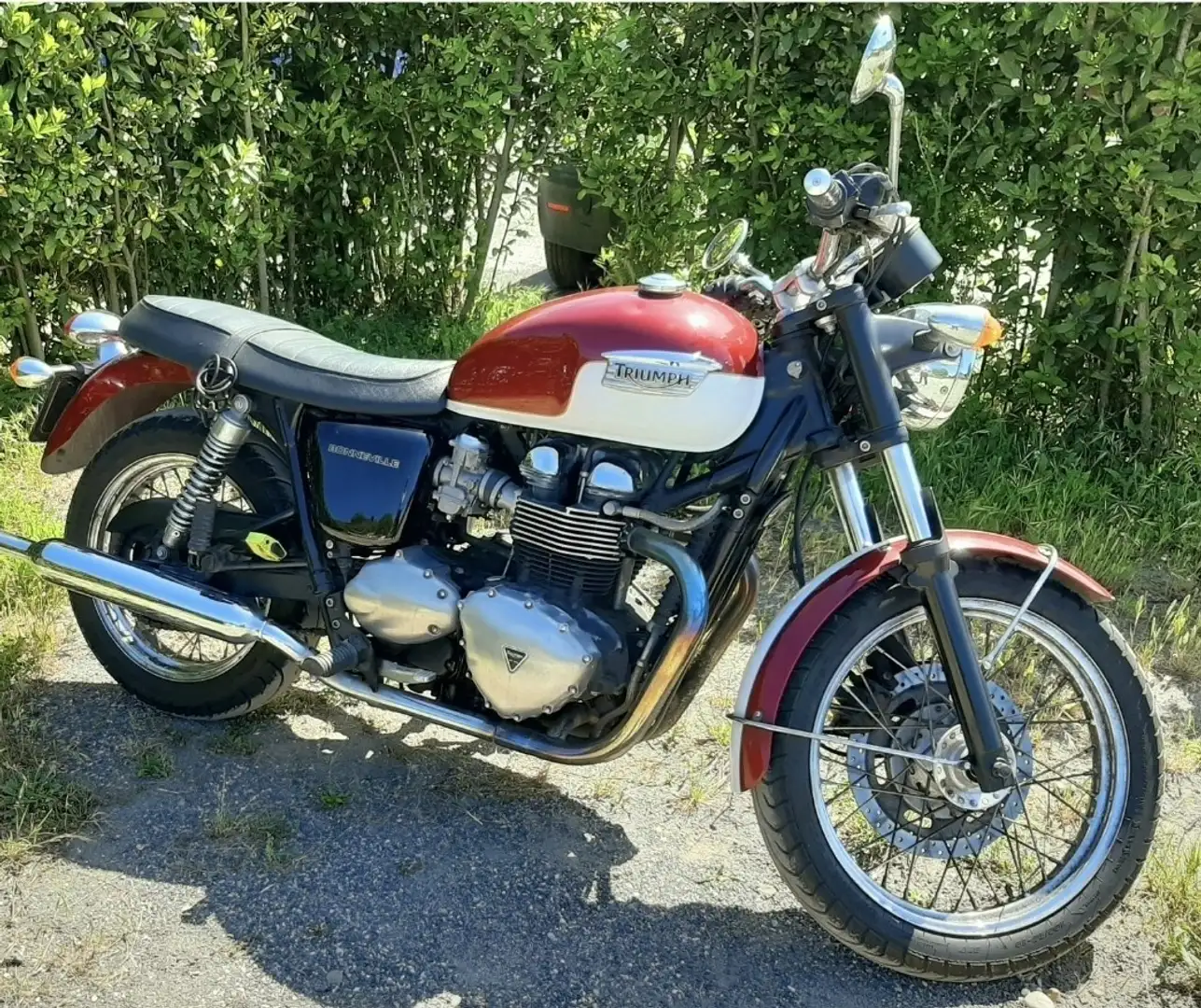 Triumph Bonneville T100 Czerwony - 1