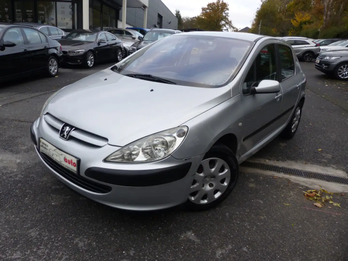Peugeot 307 2.0 HDI90 XR PRESENCE 5P Grau - 1