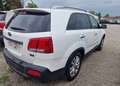 Kia Sorento Sorento 2.0 CRDi 2WD Premium Blanc - thumbnail 8
