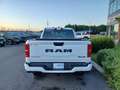 Dodge RAM 1500 CREW LIMITED NIGHT EDITION RAMBOX 2025 Blanc - thumbnail 6