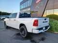 Dodge RAM 1500 CREW LIMITED NIGHT EDITION RAMBOX 2025 Blanc - thumbnail 3