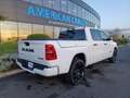 Dodge RAM 1500 CREW LIMITED NIGHT EDITION RAMBOX 2025 Blanc - thumbnail 7
