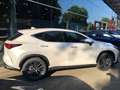 Lexus NX 350h Luxury Line *Pano*LED*Navi*Leder*360° Alb - thumbnail 4