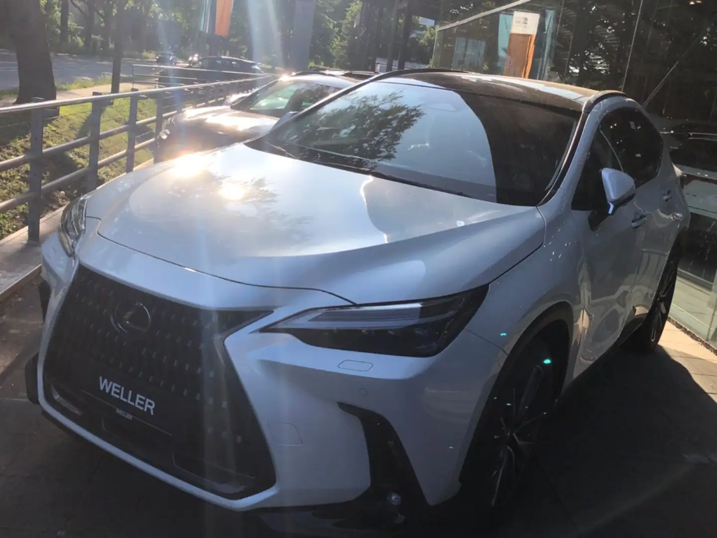 Lexus NX 350h Luxury Line *Pano*LED*Navi*Leder*360° Alb - 1