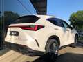 Lexus NX 350h Luxury Line *Pano*LED*Navi*Leder*360° Alb - thumbnail 2