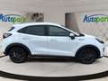 Ford Puma Titanium Weiß - thumbnail 5