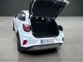 Ford Puma Titanium Weiß - thumbnail 10