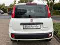 Fiat Panda Pandina Icon Klima PDC Radio Bluetooth Blanc - thumbnail 6