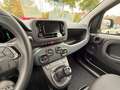 Fiat Panda Pandina Icon Klima PDC Radio Bluetooth Blanc - thumbnail 13
