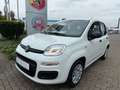 Fiat Panda Pandina Icon Klima PDC Radio Bluetooth Blanc - thumbnail 2