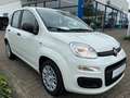 Fiat Panda Pandina Icon Klima PDC Radio Bluetooth Blanc - thumbnail 4