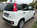 Fiat Panda Pandina Icon Klima PDC Radio Bluetooth Blanc - thumbnail 7