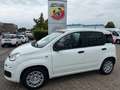 Fiat Panda Pandina Icon Klima PDC Radio Bluetooth Blanc - thumbnail 1