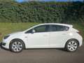 Opel Astra 1.6 CDTi Business + Navi - Clima - Cruise - PDC Weiß - thumbnail 5