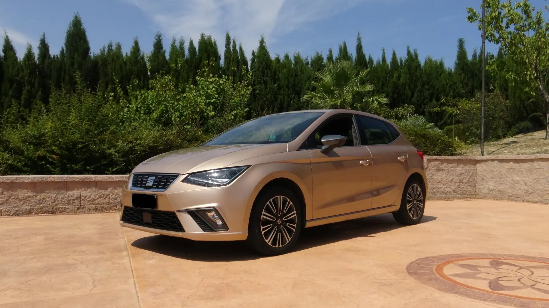 SEAT Ibiza Ibiza V 20181.0 tgi Xcellence 90cv Bronzo - 1