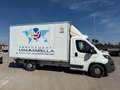 Peugeot Boxer 335 BlueHDi160 PLM-SL 3p.Furgonato PROBLEMI AL MOT Blanc - thumbnail 3