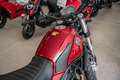 Benelli Leoncino 500 Trail,sofort lieferbar,Aktionspreis Rot - thumbnail 12