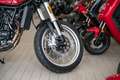 Benelli Leoncino 500 Trail,sofort lieferbar,Aktionspreis Rot - thumbnail 15